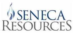 Seneca Resources (appalachia Gas Assets)