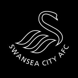 Swansea City Afc