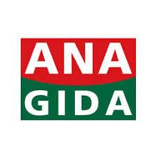 Ana Gida