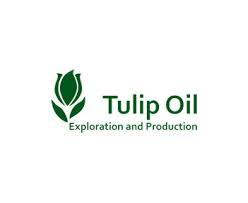 Tulip Oil Netherlands