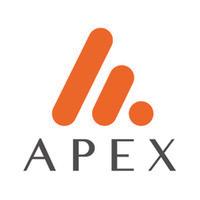APEX GROUP LLC