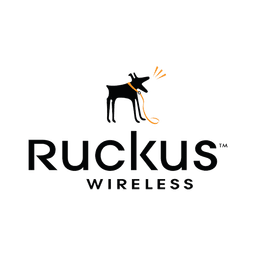 RUCKUS WIRELESS INC