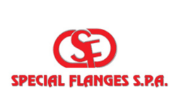 Special Flanges
