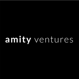 AMITY VENTURES LLC