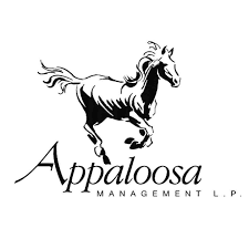 Appaloosa Management
