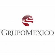Grupo Mexico Transportes