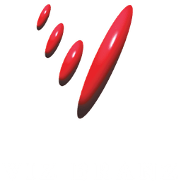 Viz Branz Holdings
