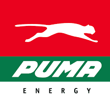 Puma Energy (angolan Business)