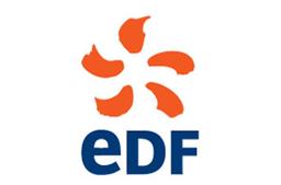 Edf Energy Services