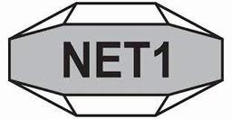NET1 UEPS TECHNOLOGIES INC