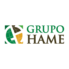 Grupo Hame