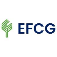 Environmental Financial Consulting Group